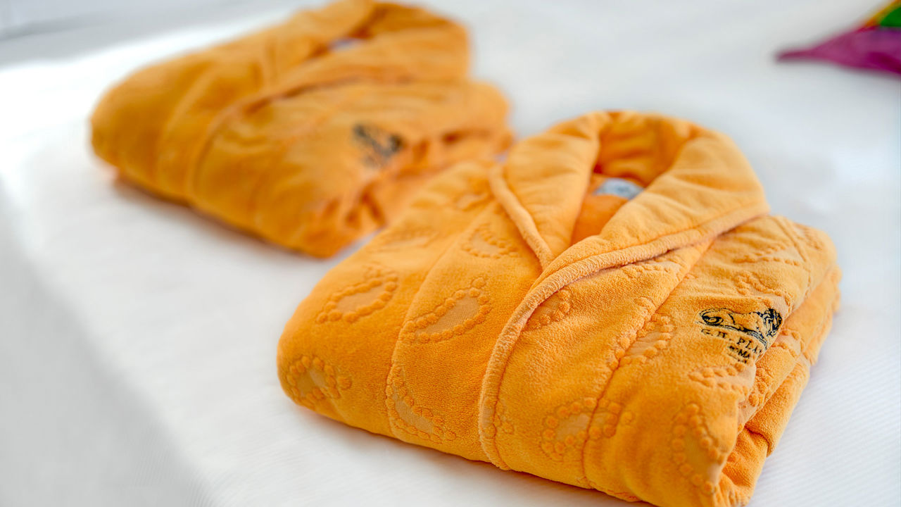 Features and facilities of the Room