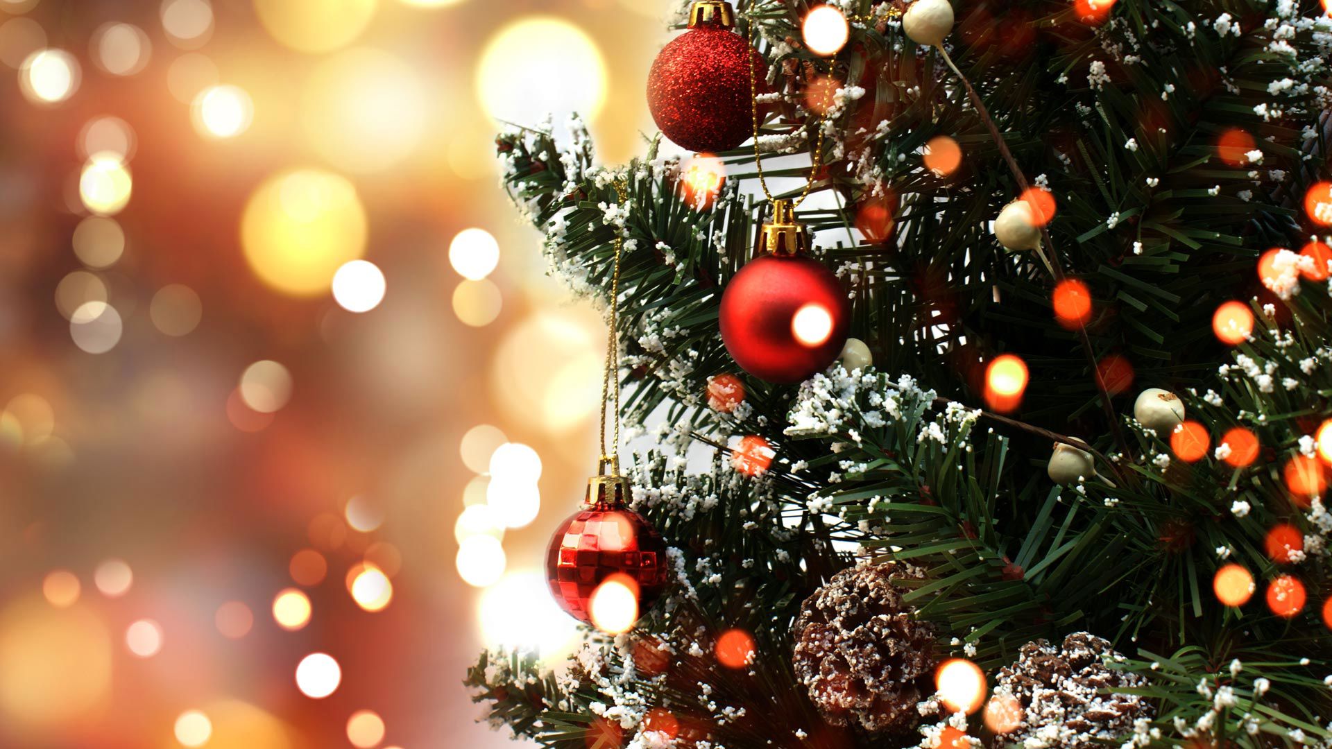 Holiday - Experience the Magic of the Holidays in the Heart of Rome