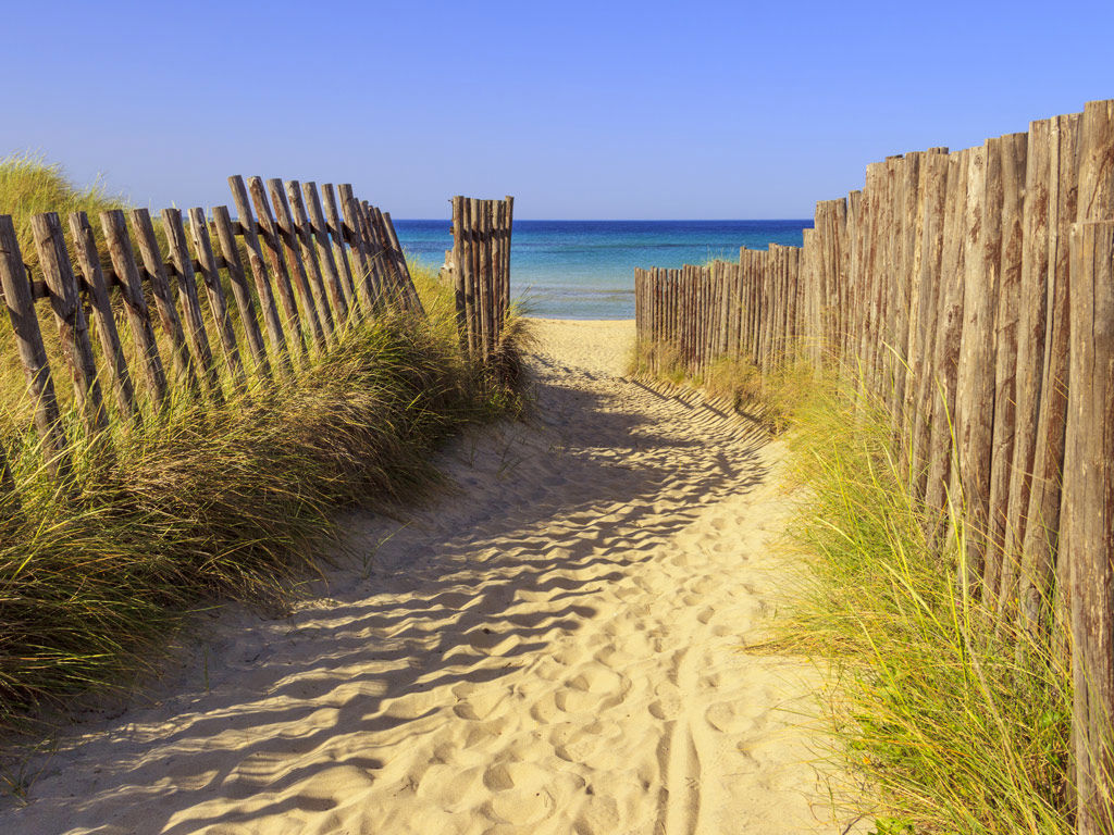Places to Visit 21 Places to Visit 21