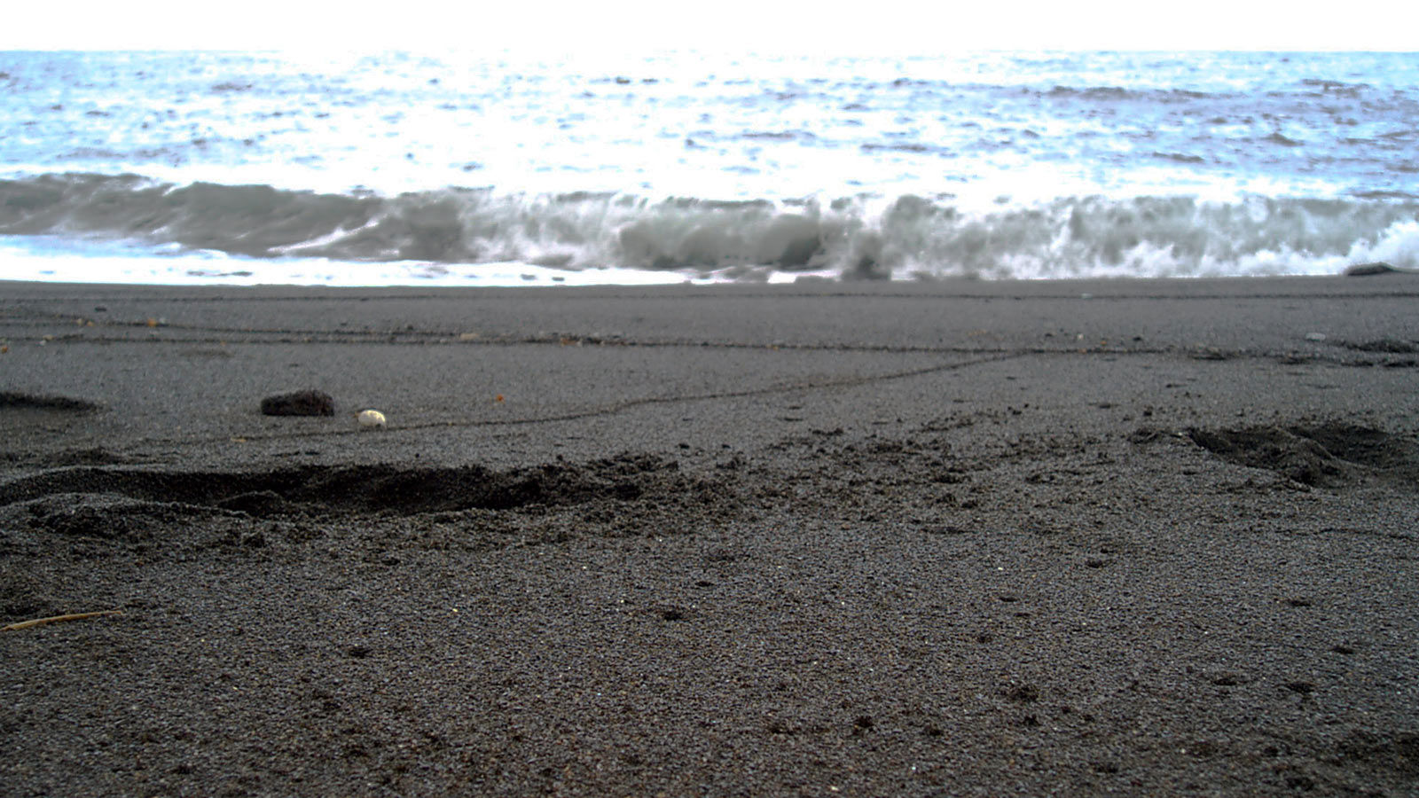 Asino Beach 11