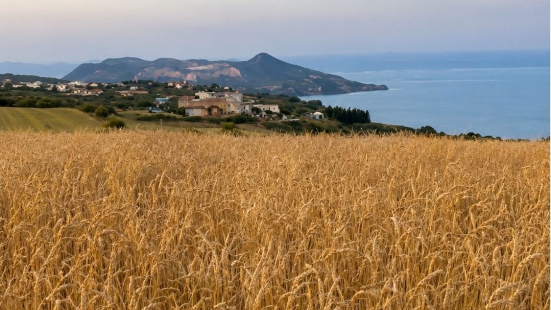 Tradizioni contadine delle Eolie 9