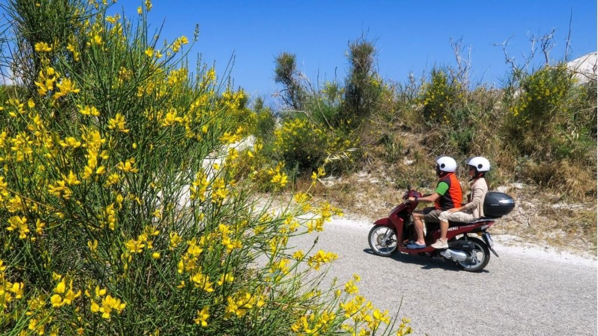 Noleggio Scooter 9