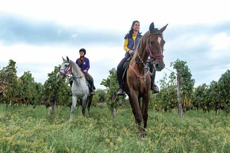 Escursioni a cavallo 1