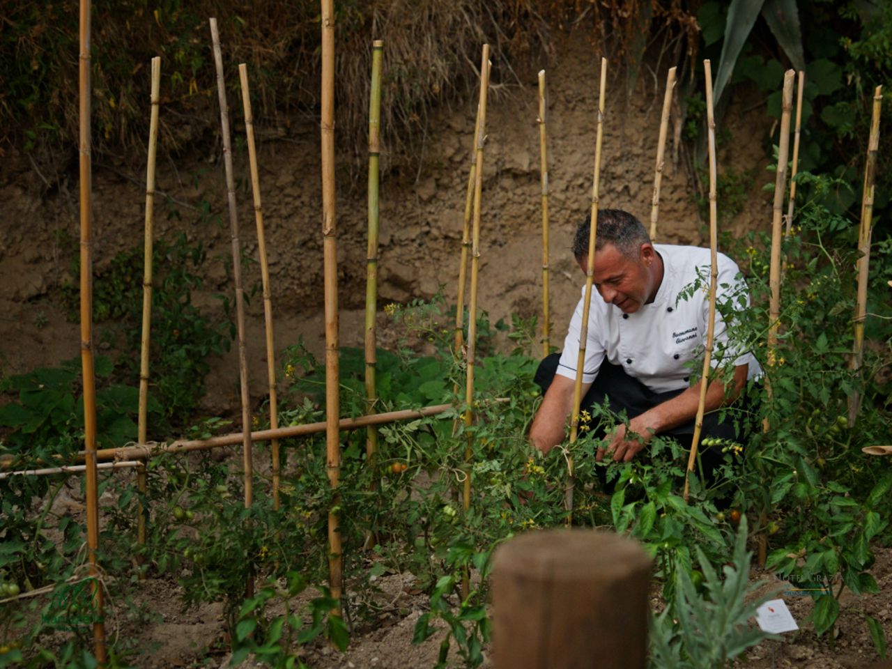 Hotel Grazia Alla Scannella - Maruzzella Restaurant 30