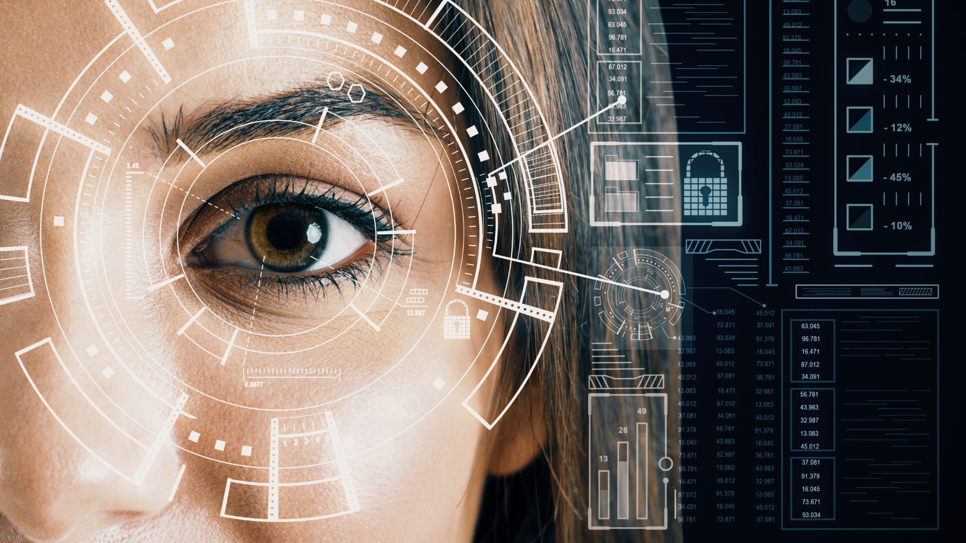 Biometri og reiser 2