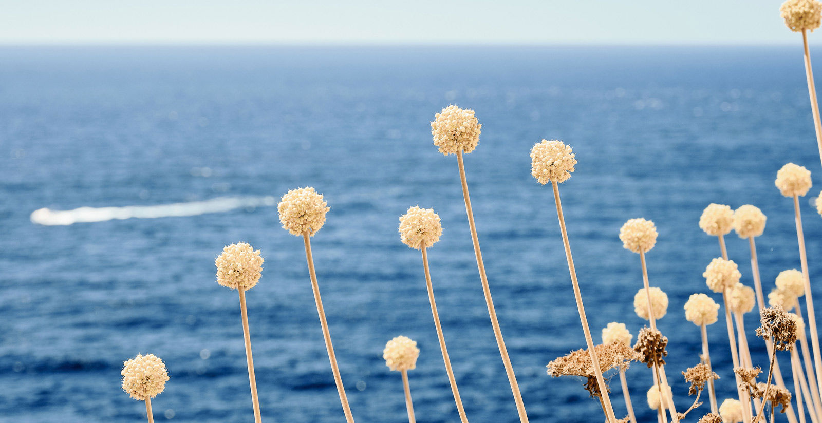 Sorrento, the pearl of the Coast. Your wellness retreat. Sorrento, the pearl of the Coast. Your wellness retreat.