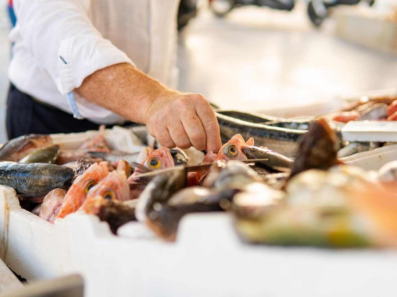 Market Tour with the Chef Market Tour with the Chef