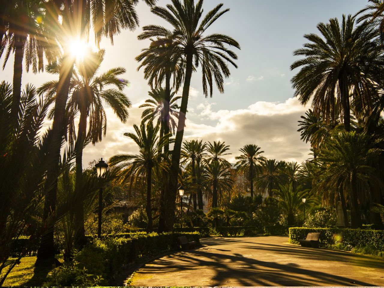 Palermo’s Gardens