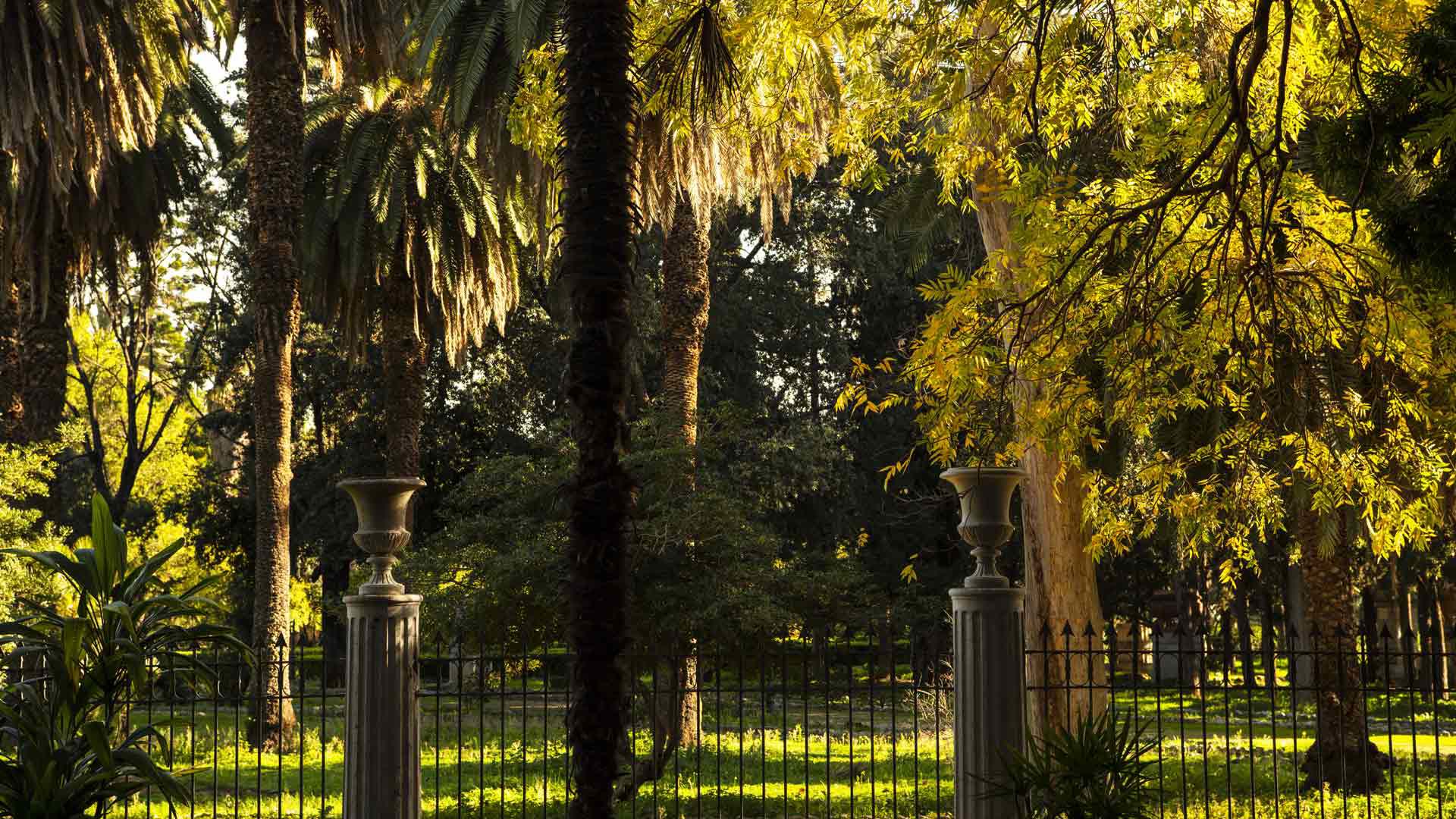 Experiences - Charm, Flavor, and Beauty: Discover Palermo Experiences - Charm, Flavor, and Beauty: Discover Palermo