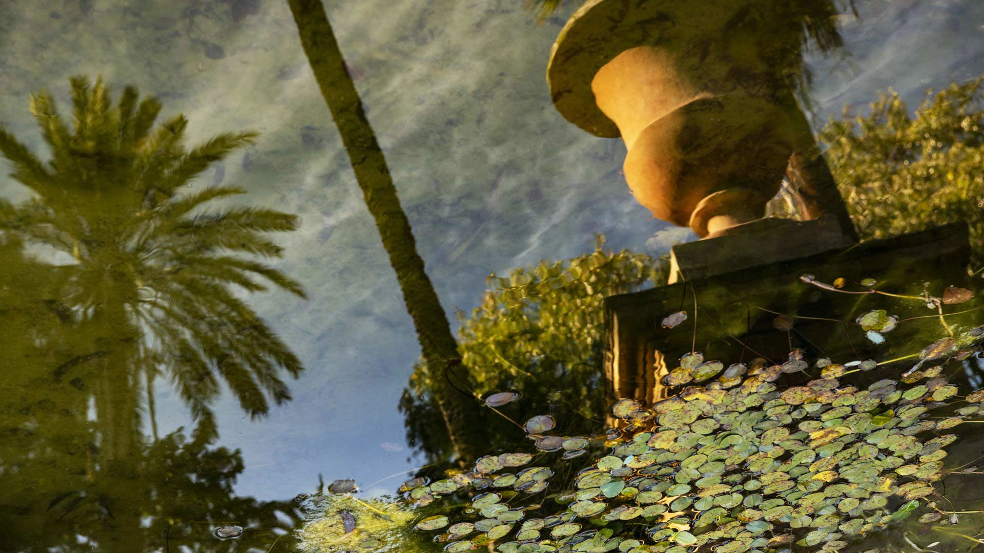 Discover Palermo - A Tapestry of Cultures, Flavors, and Wonders