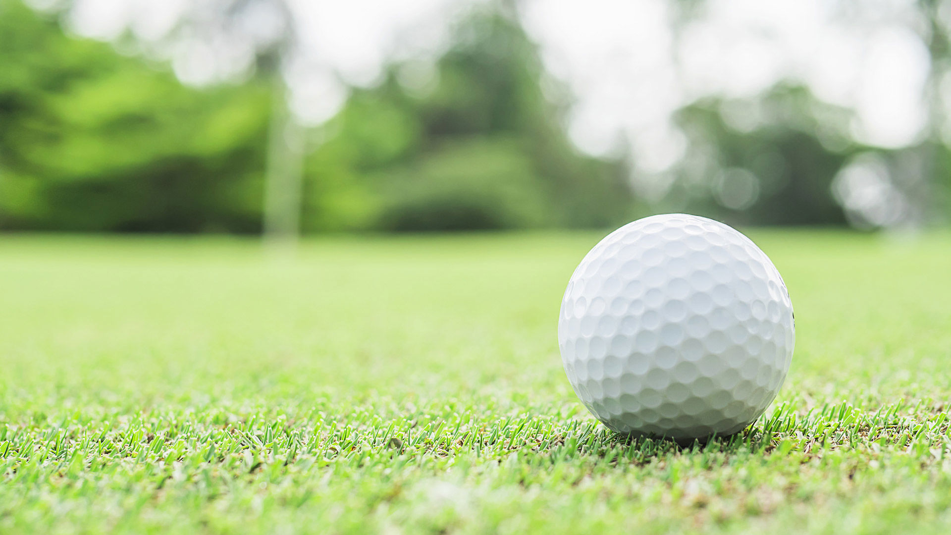 Golf courses in Tuscany 9