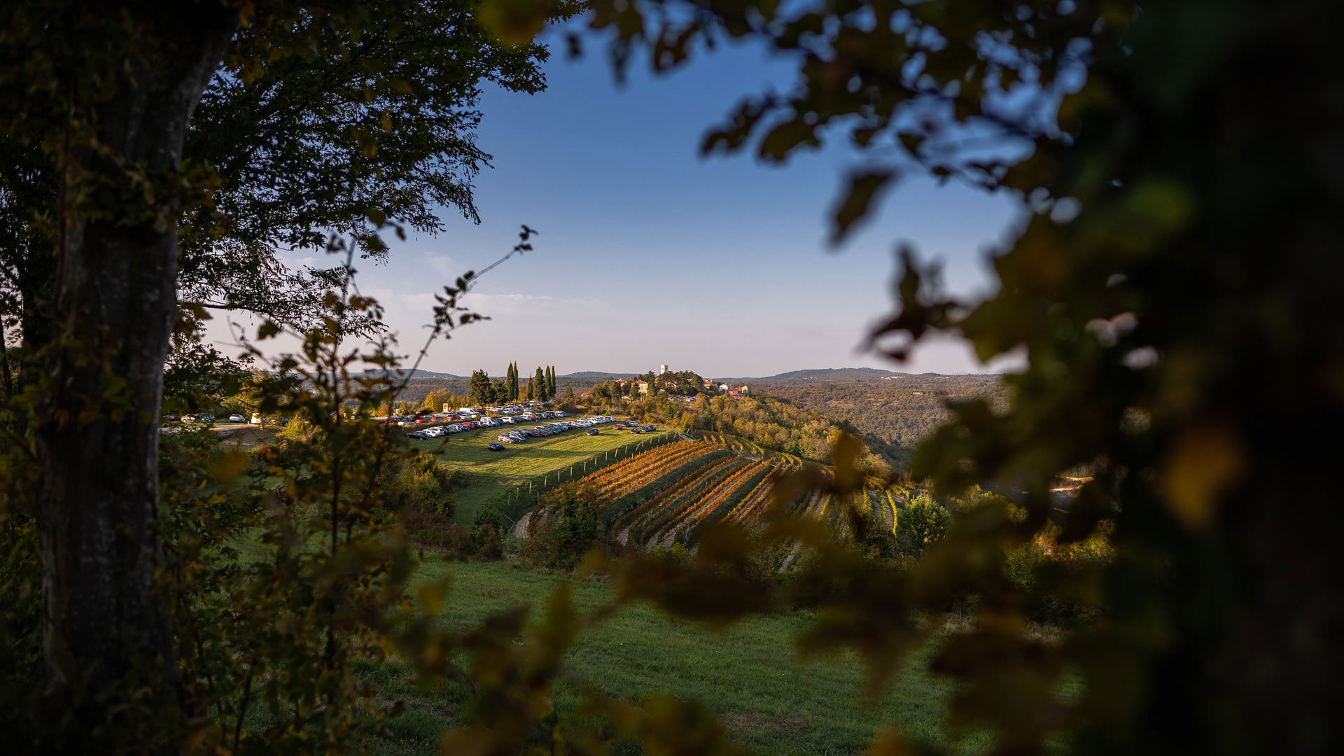 Tuscan Landscapes 7