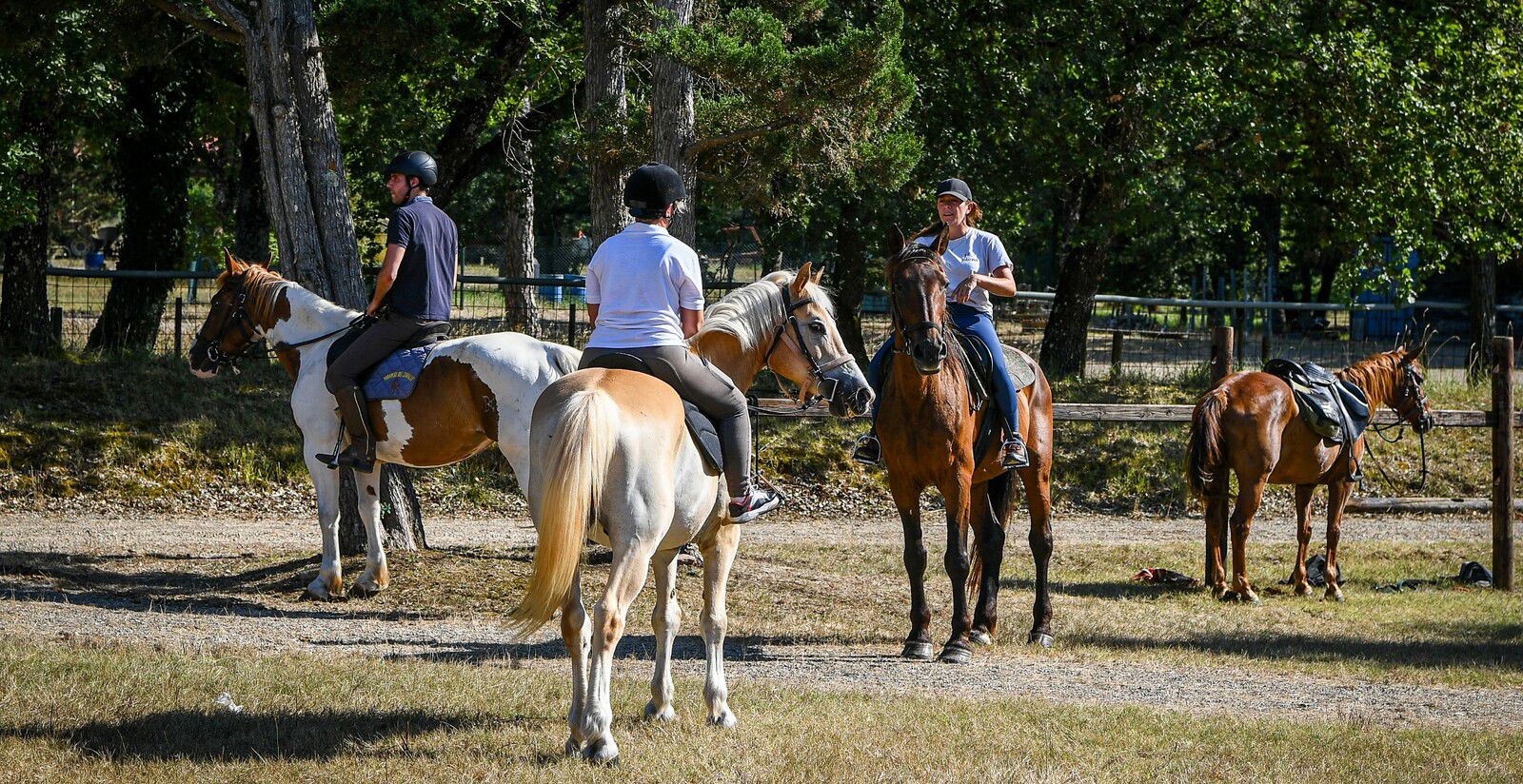 Cosa fare vicino Siena 5