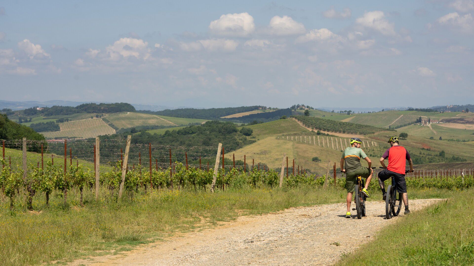 What to do near Siena 8