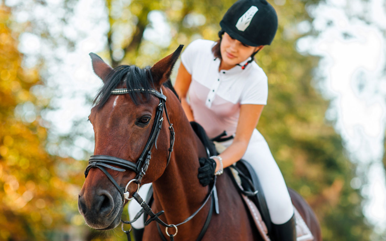 Horseback riding excursions