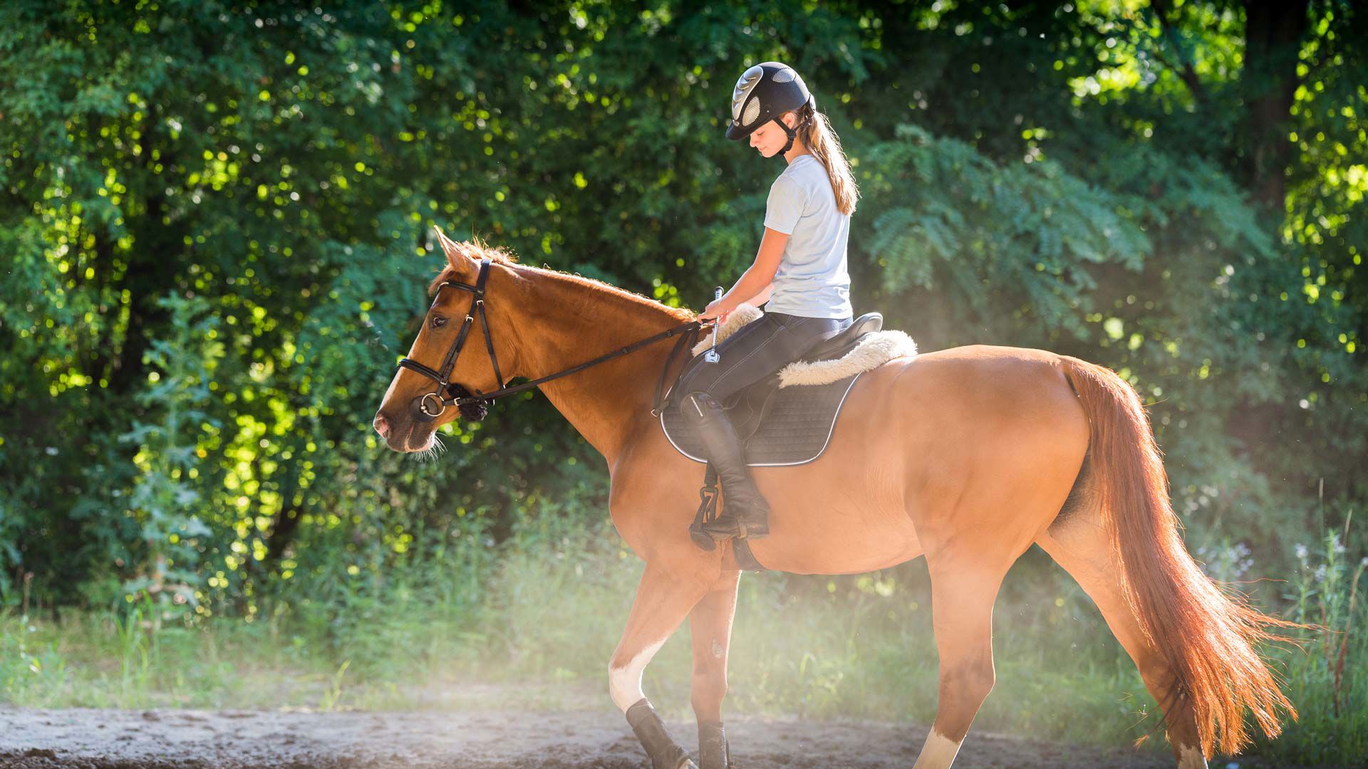 Escursioni a cavallo