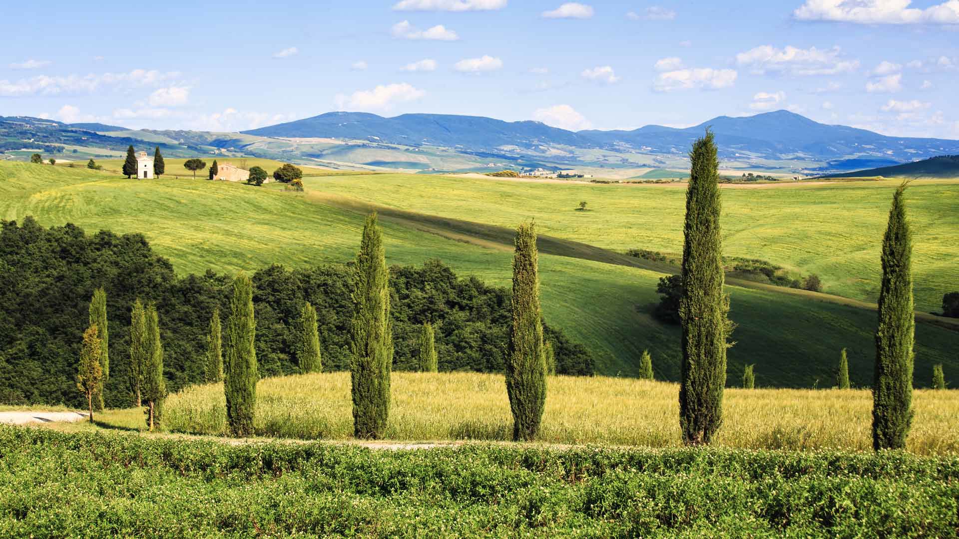 Bolgheri: un gioiello toscano tra vino e storia