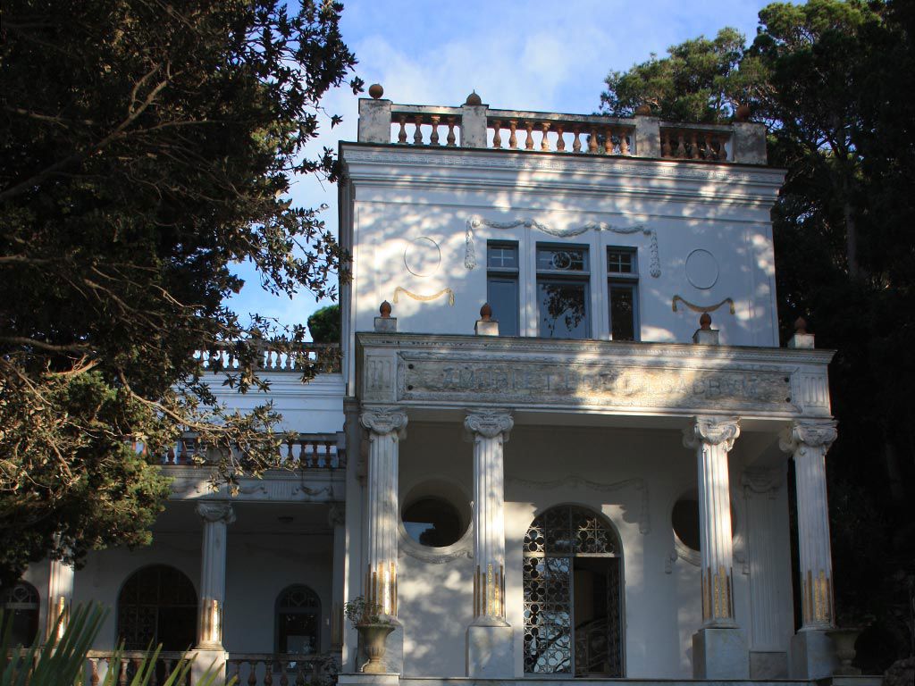 gallery/1024-Lysis.jpg gallery/1024-Lysis.jpg