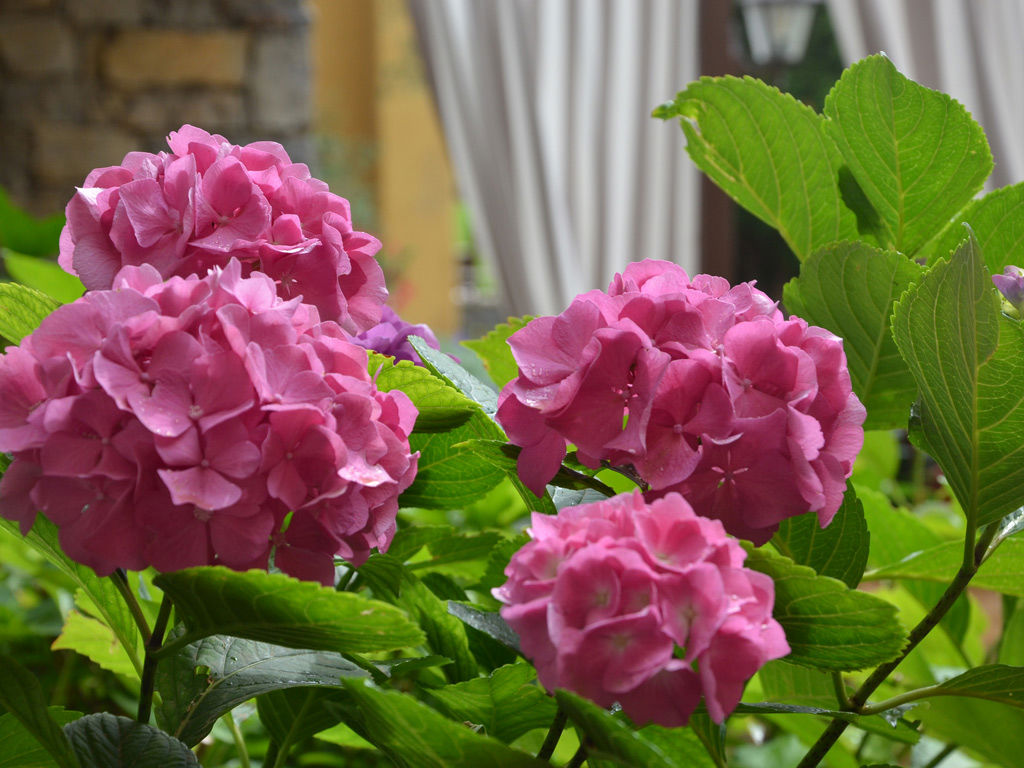 Our Services 49 Our Services 49