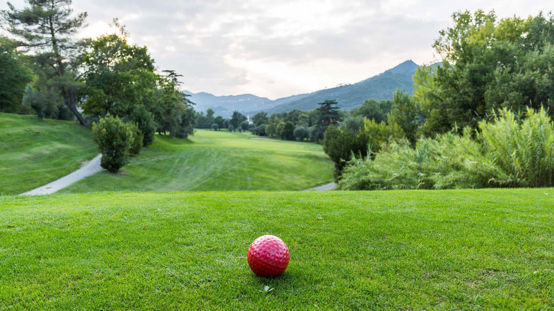 Golf Club 3 Golf Club 3