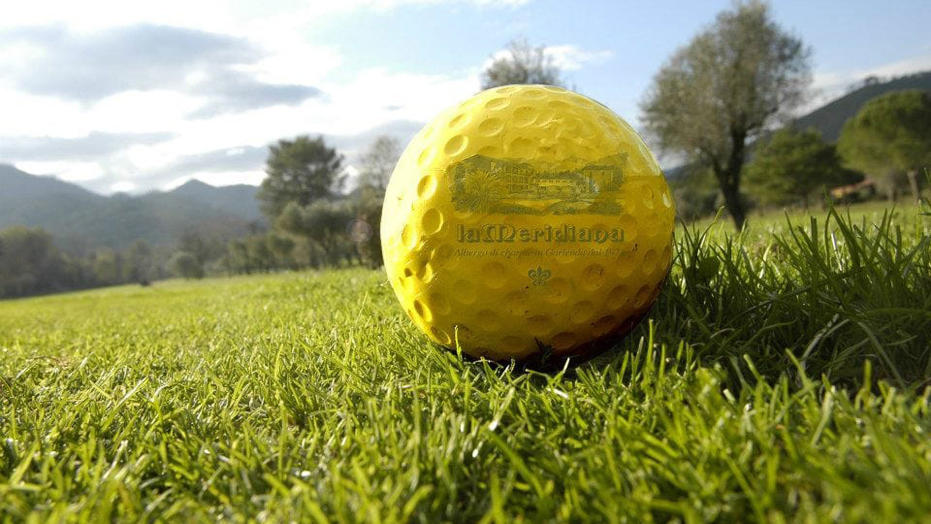 Golf Club 49 Golf Club 49
