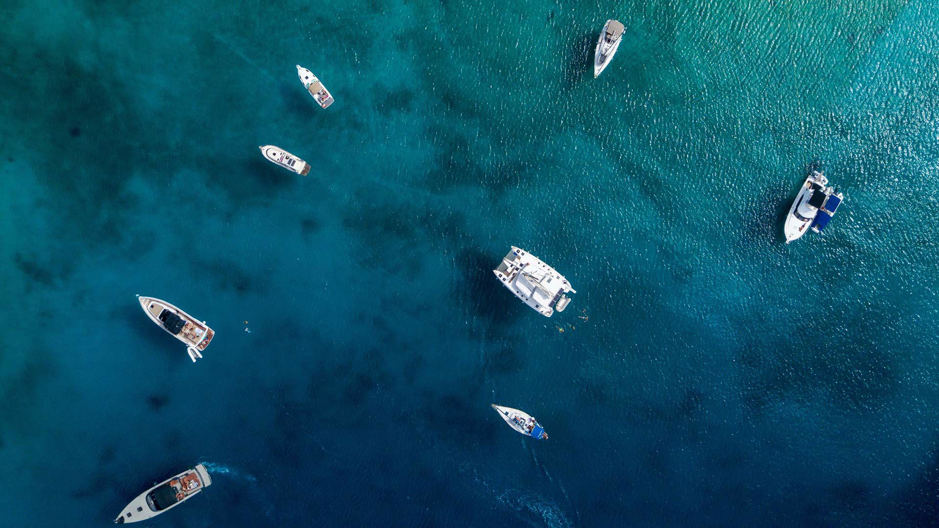 Navigando sul Mar Ligure 1