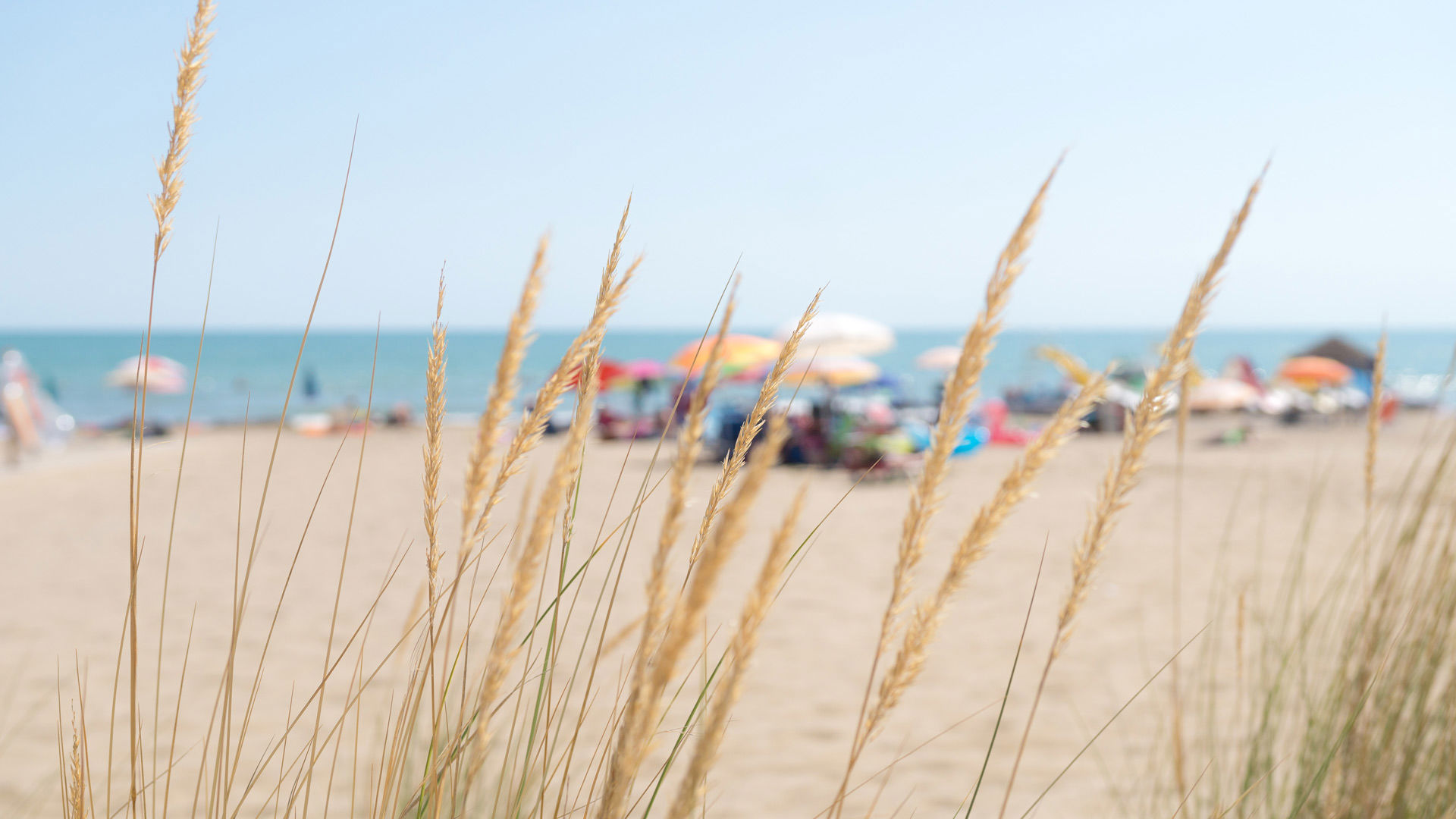 Expériences 4 Expériences 4