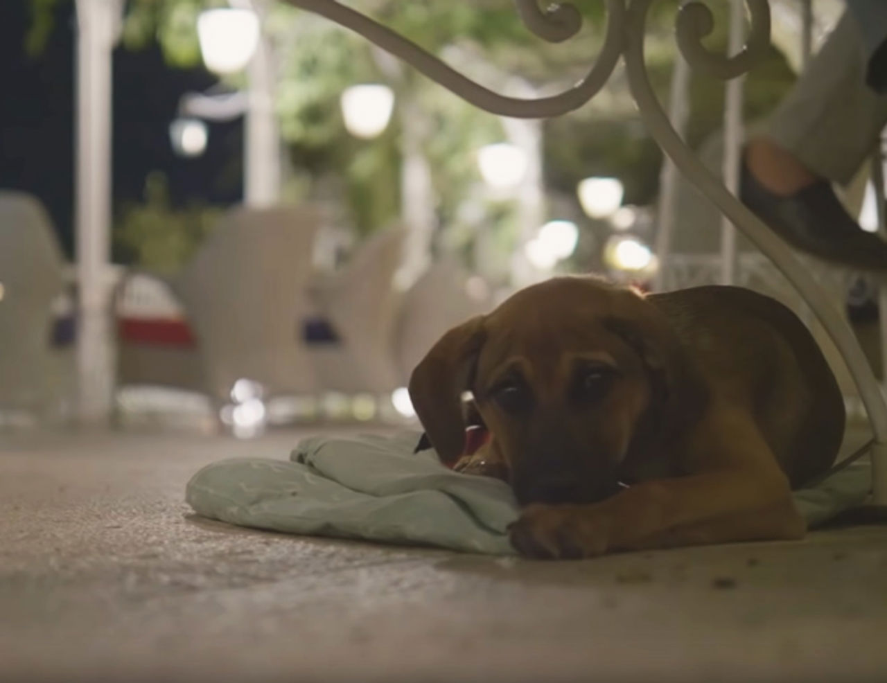 Gallery 50 Gallery 50