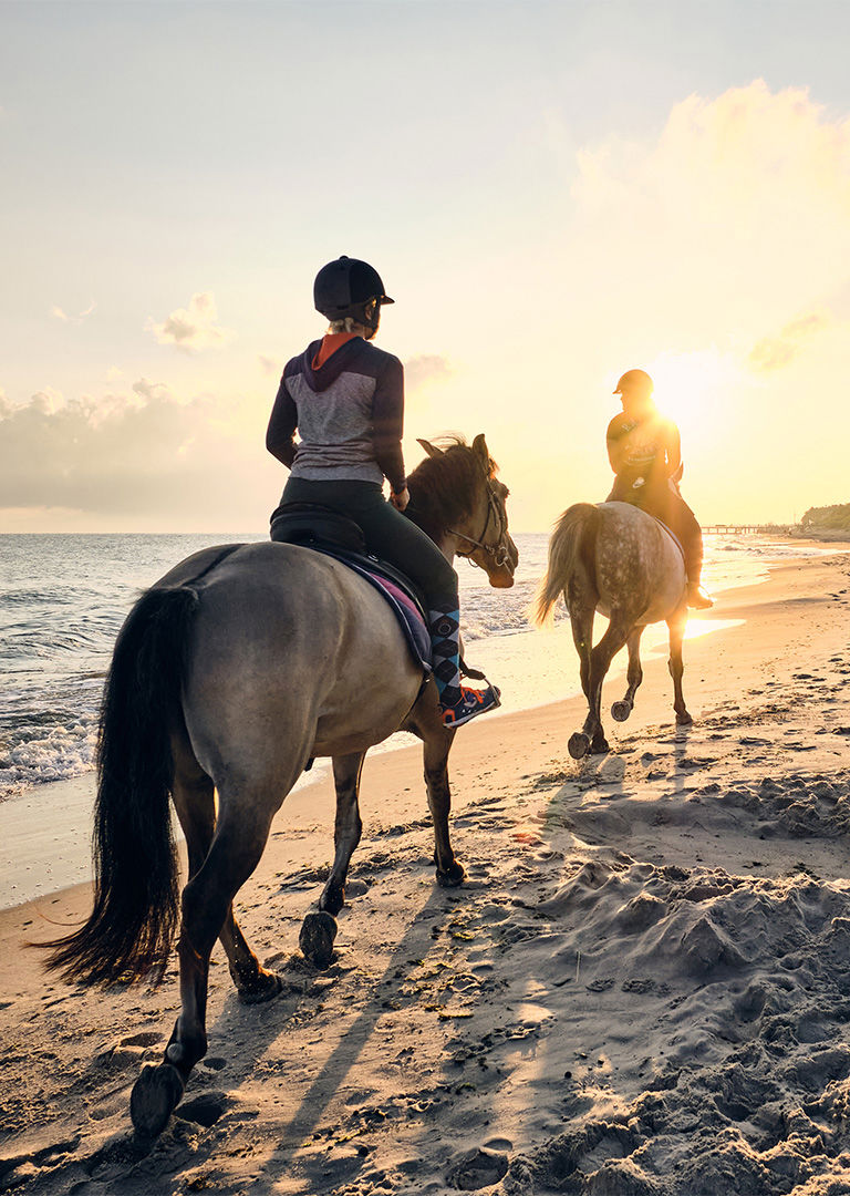 Experience 8 Experience 8