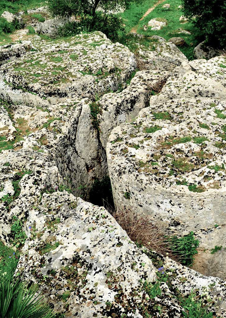 Experience 8 Experience 8