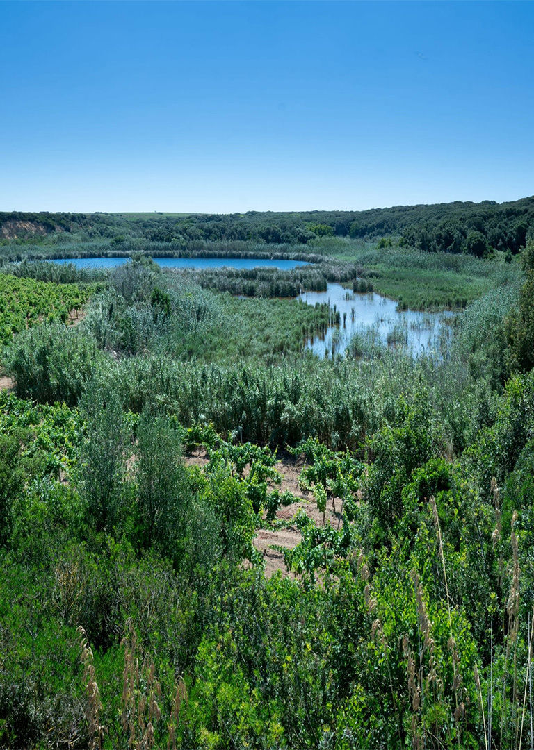 Experience 8 Experience 8