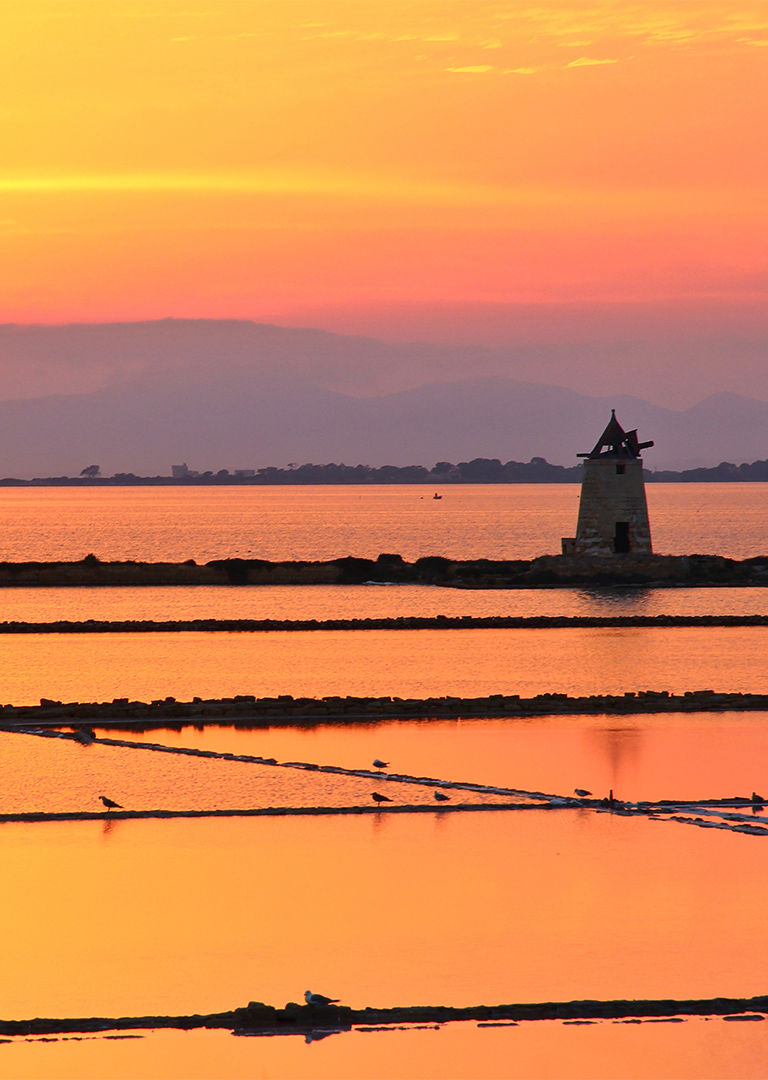 Experience 8 Experience 8