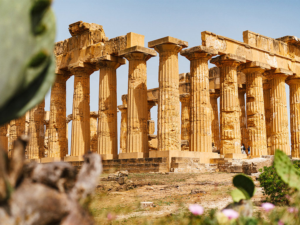 Experience 8 Experience 8