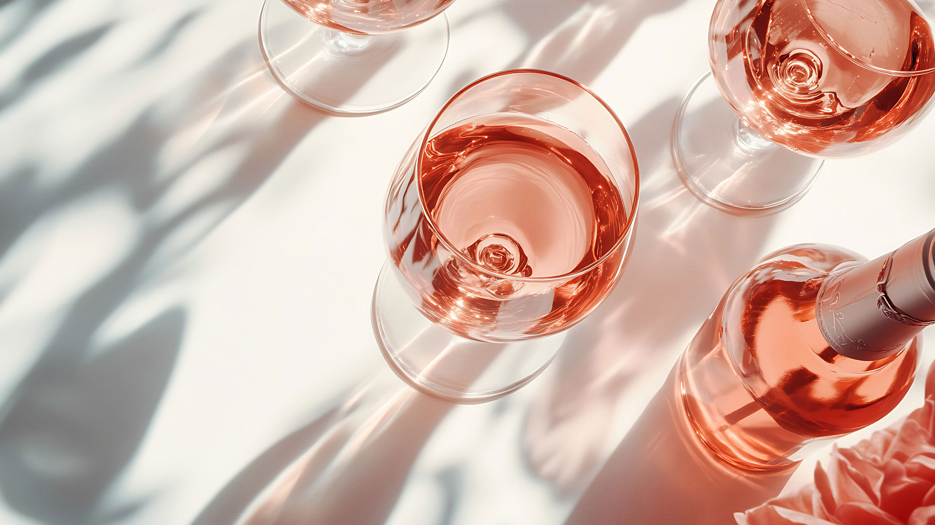 Rosé wines 7