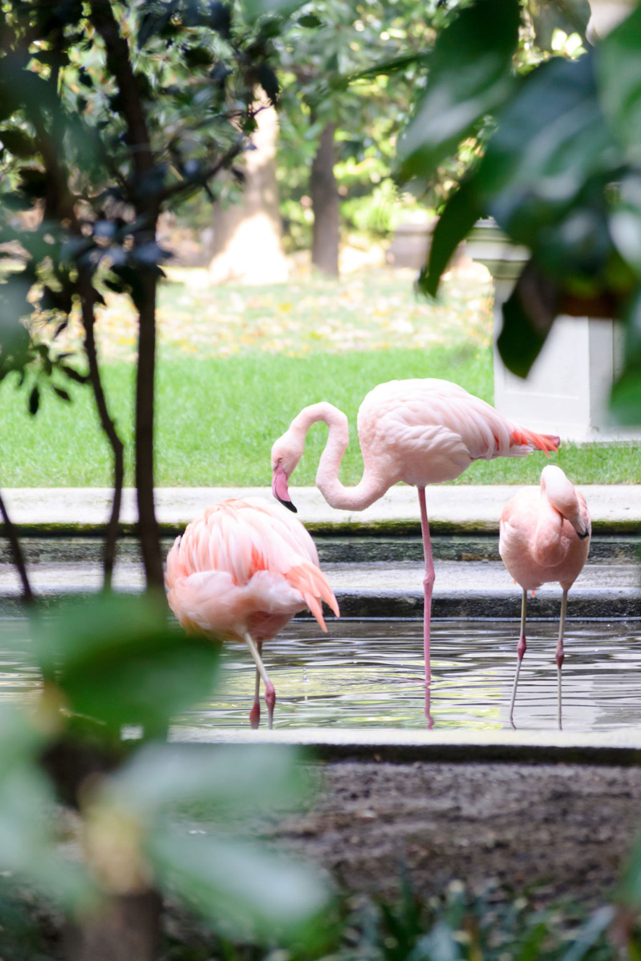 Il Quadrilatero del silenzio di Milano 4