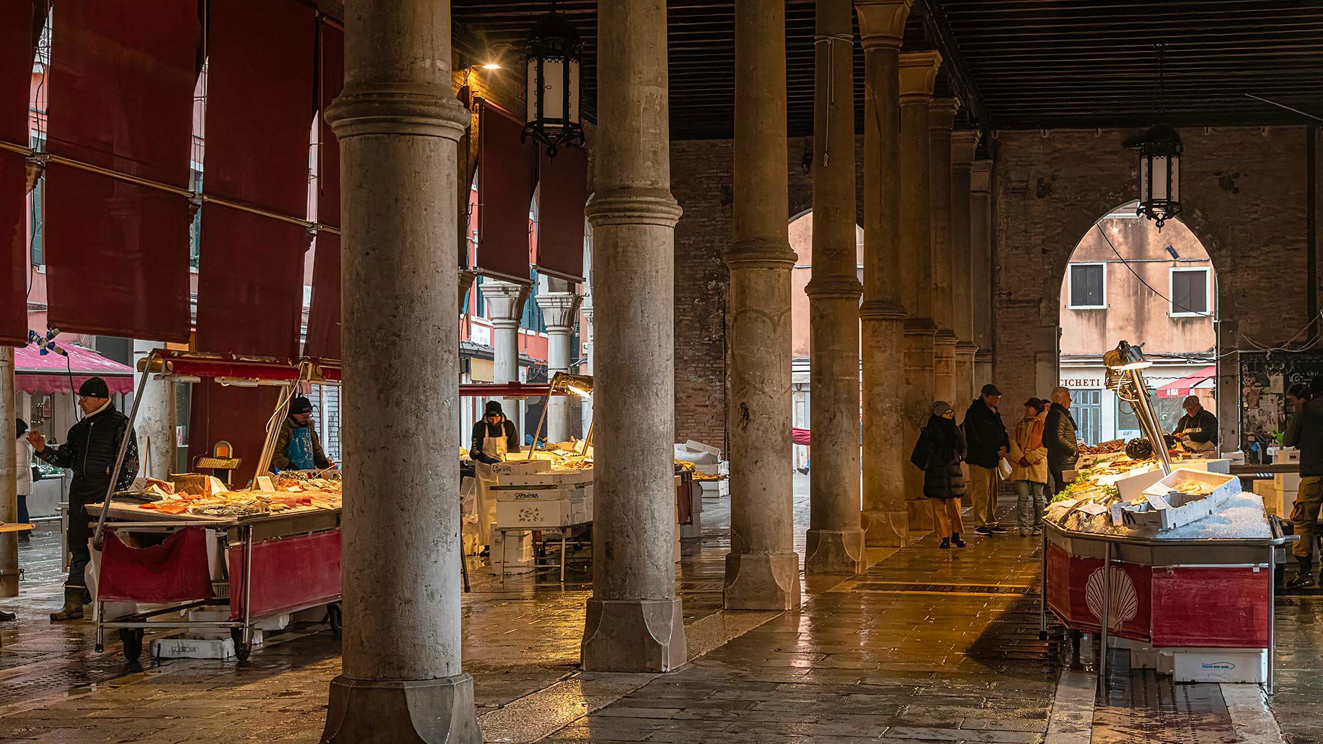 Guided tour of Venice 1