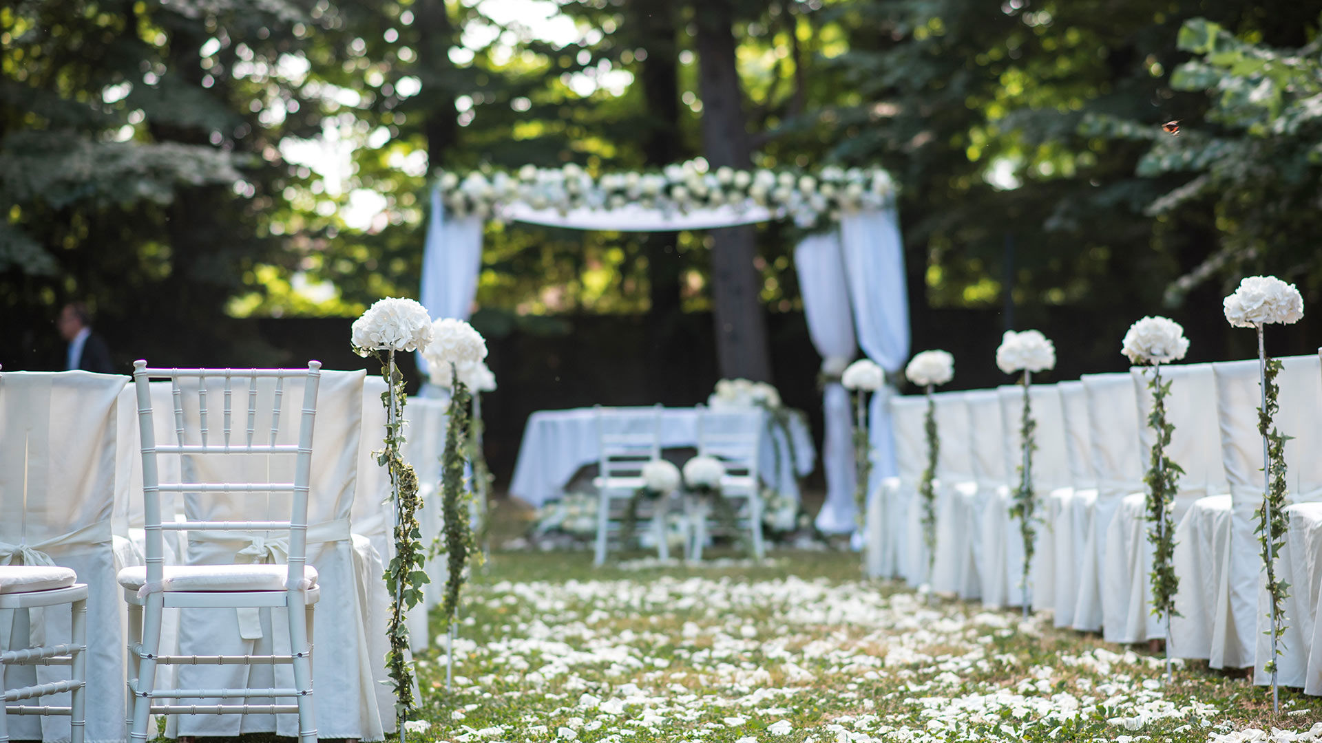 Weddings & Events 1