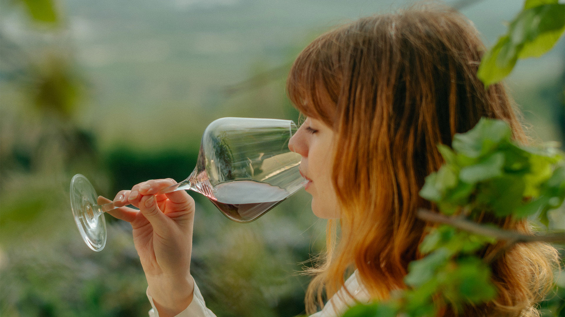 Wine Experience 11 Wine Experience 11