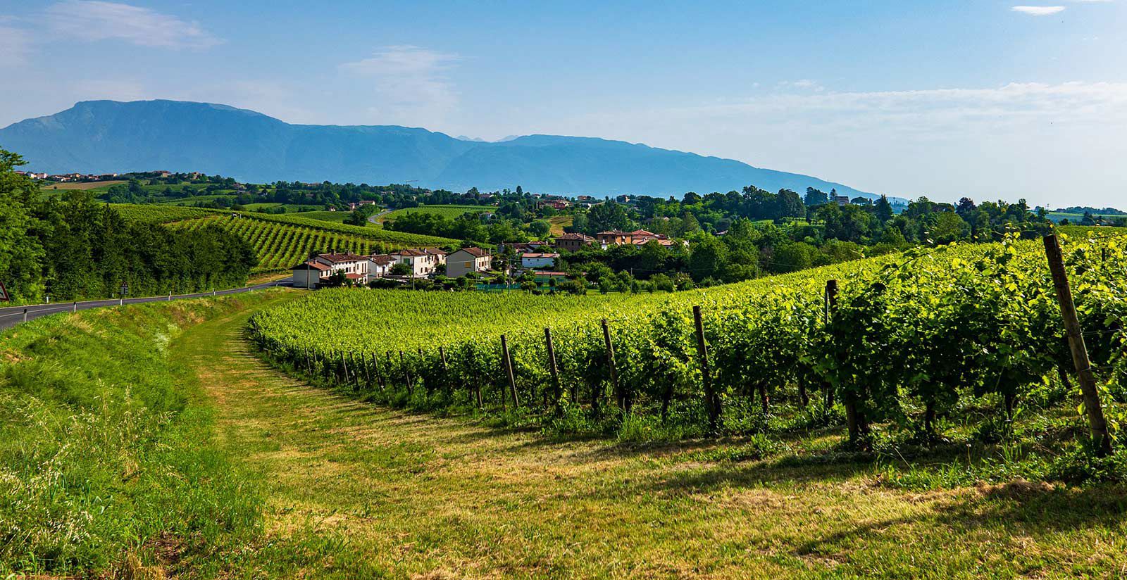 Tenuta Le Cave: your hotel with restaurant where you can explore the authentic flavours of Valpolicella 17 Tenuta Le Cave: your hotel with restaurant where you can explore the authentic flavours of Valpolicella 17