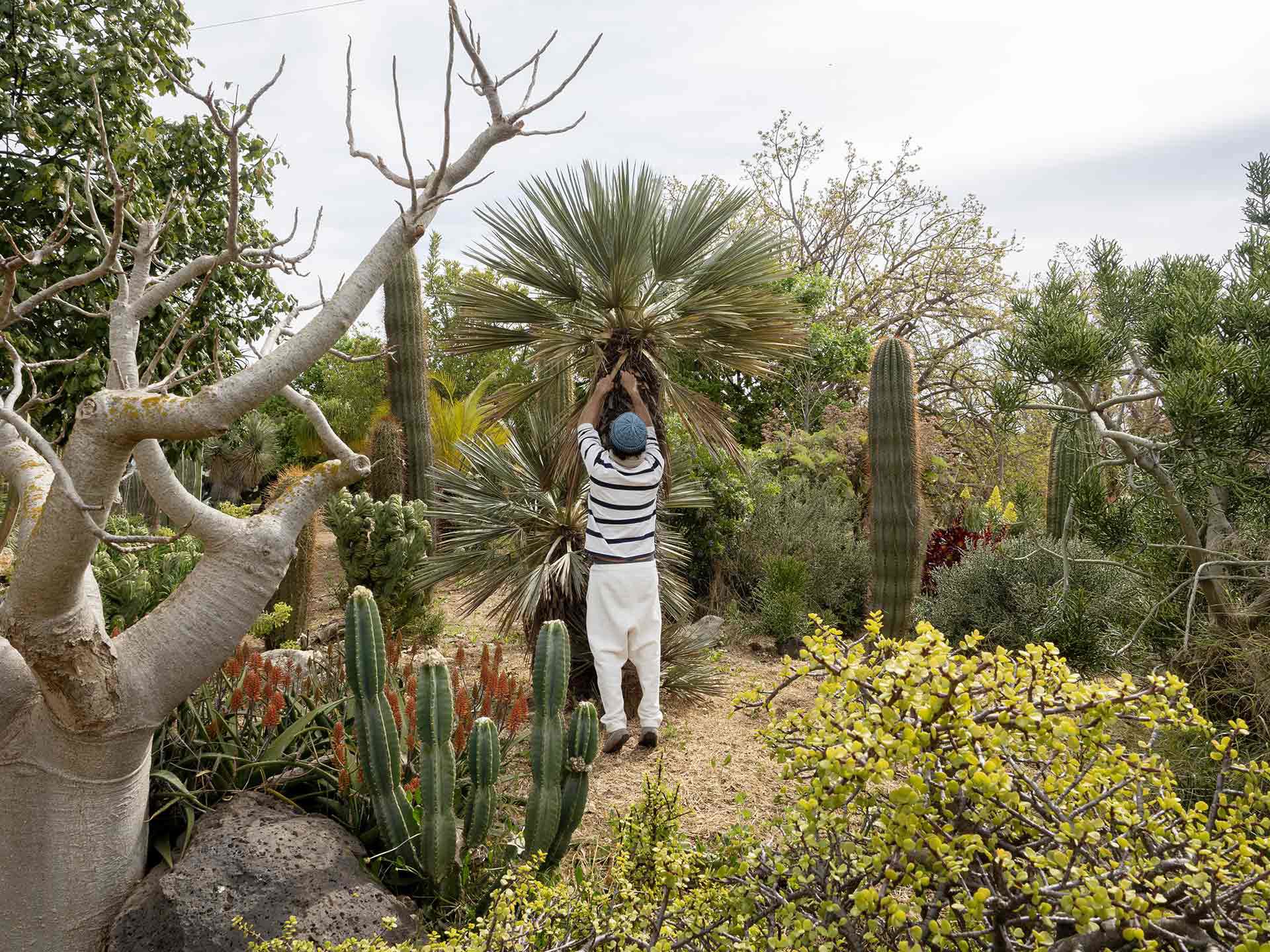 Laboratorio di Stampa Botanica - Fuga In Sicily