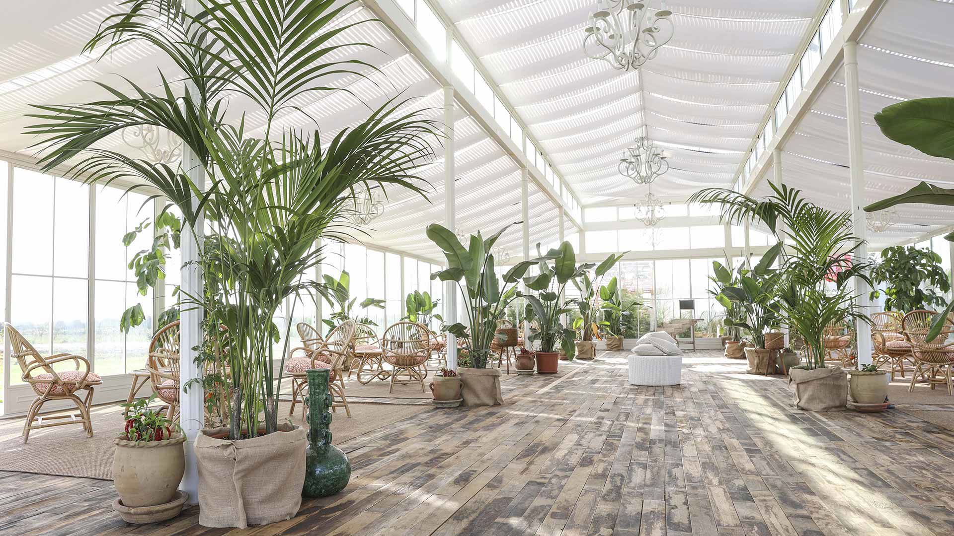 La piscina e l’orangerie - Relax e natura