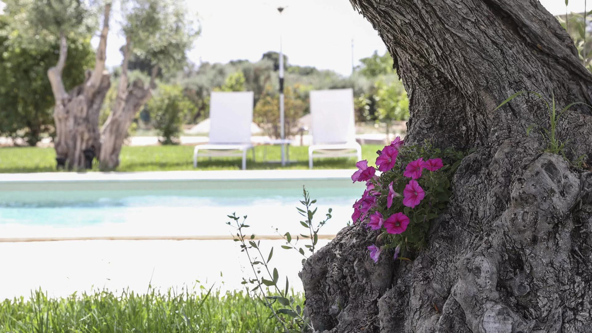La piscina e l’orangerie - Relax e natura