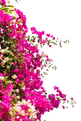 Positano Art Hotel 79