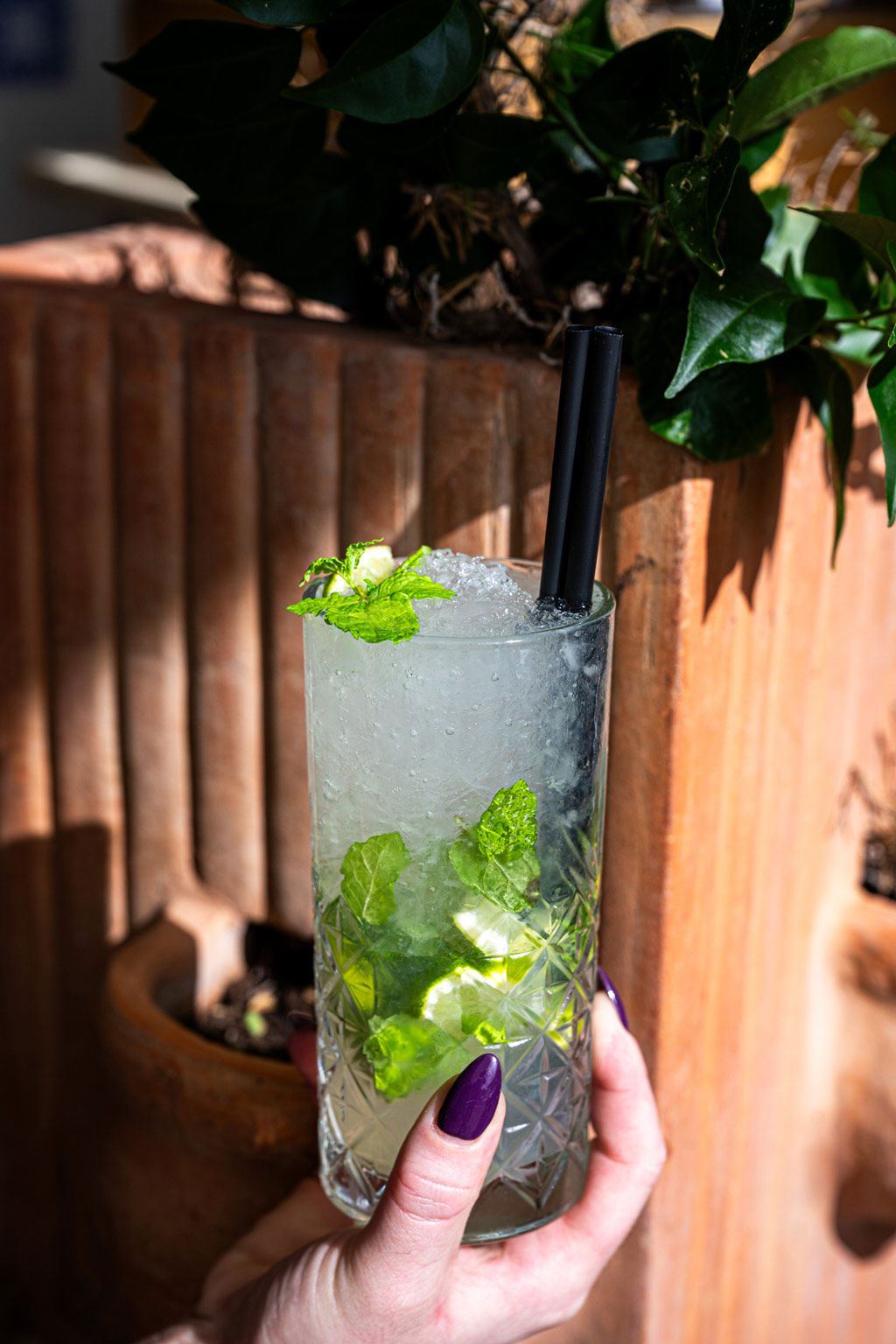Lounge Bar 46