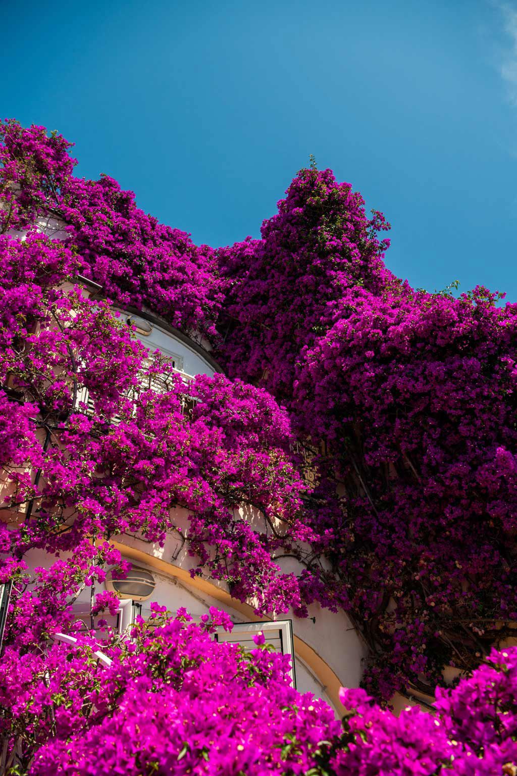 Positano Art Hotel 41