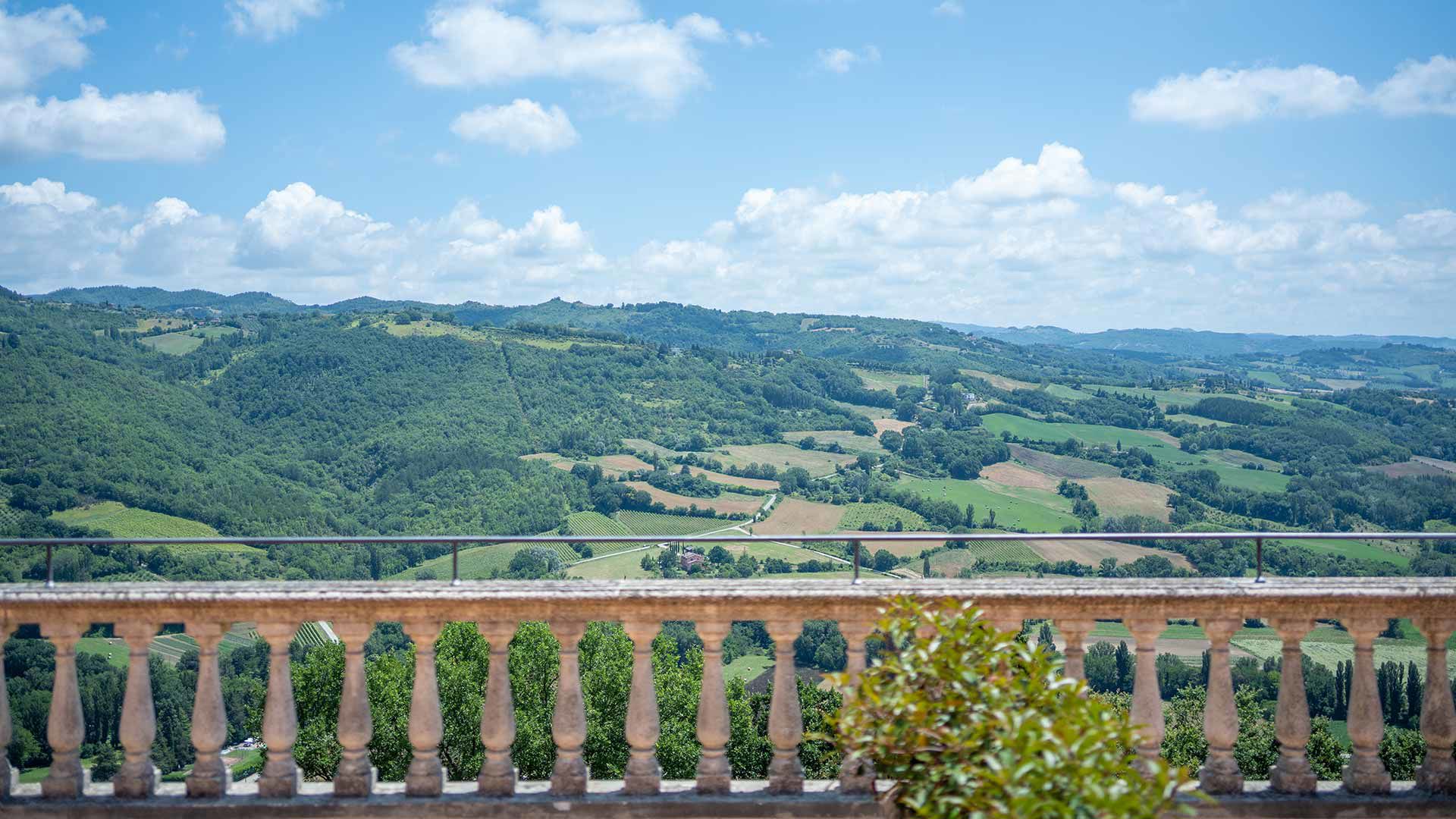 Montone 1