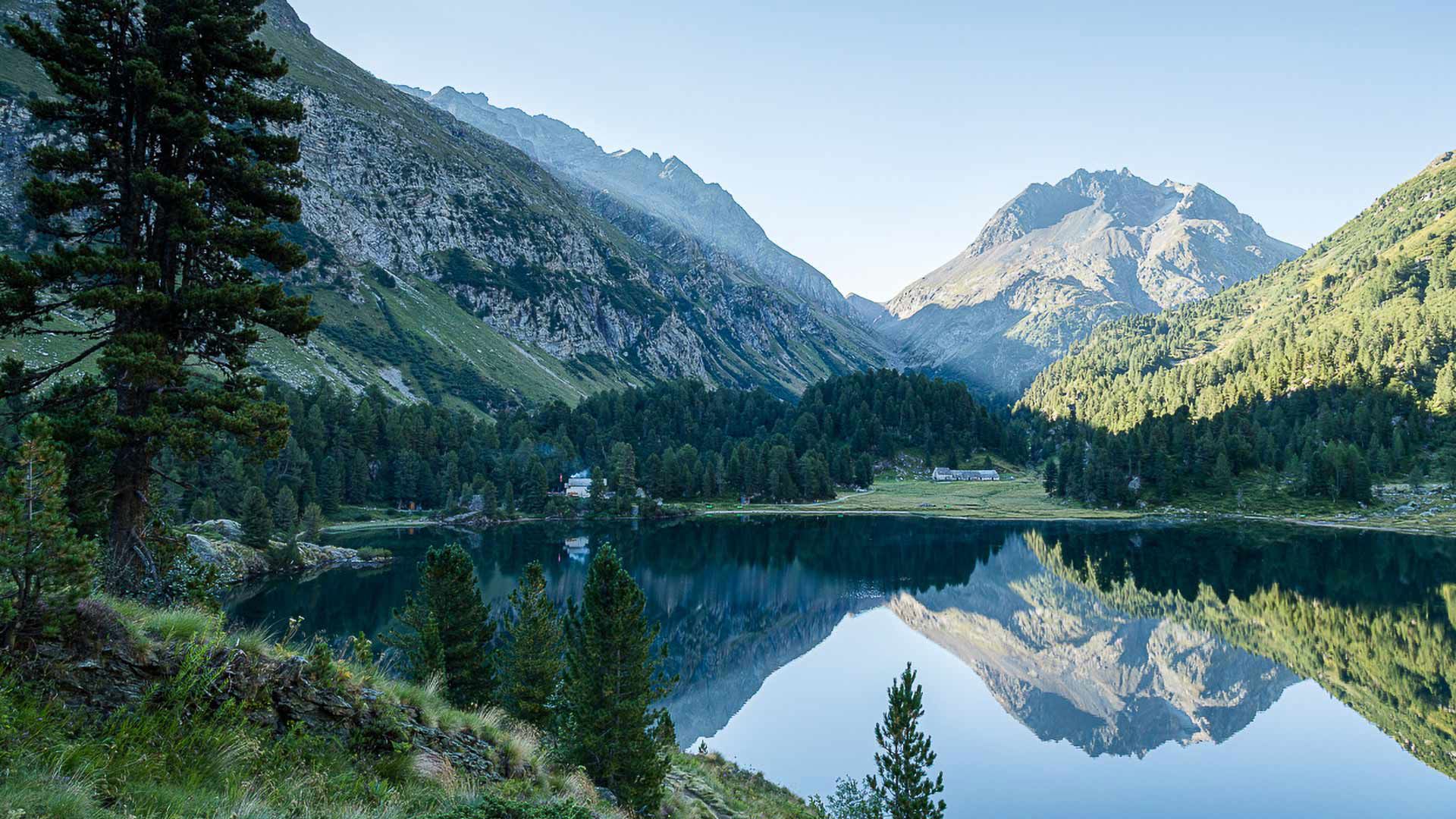 Guided Hikes with Speciale 6