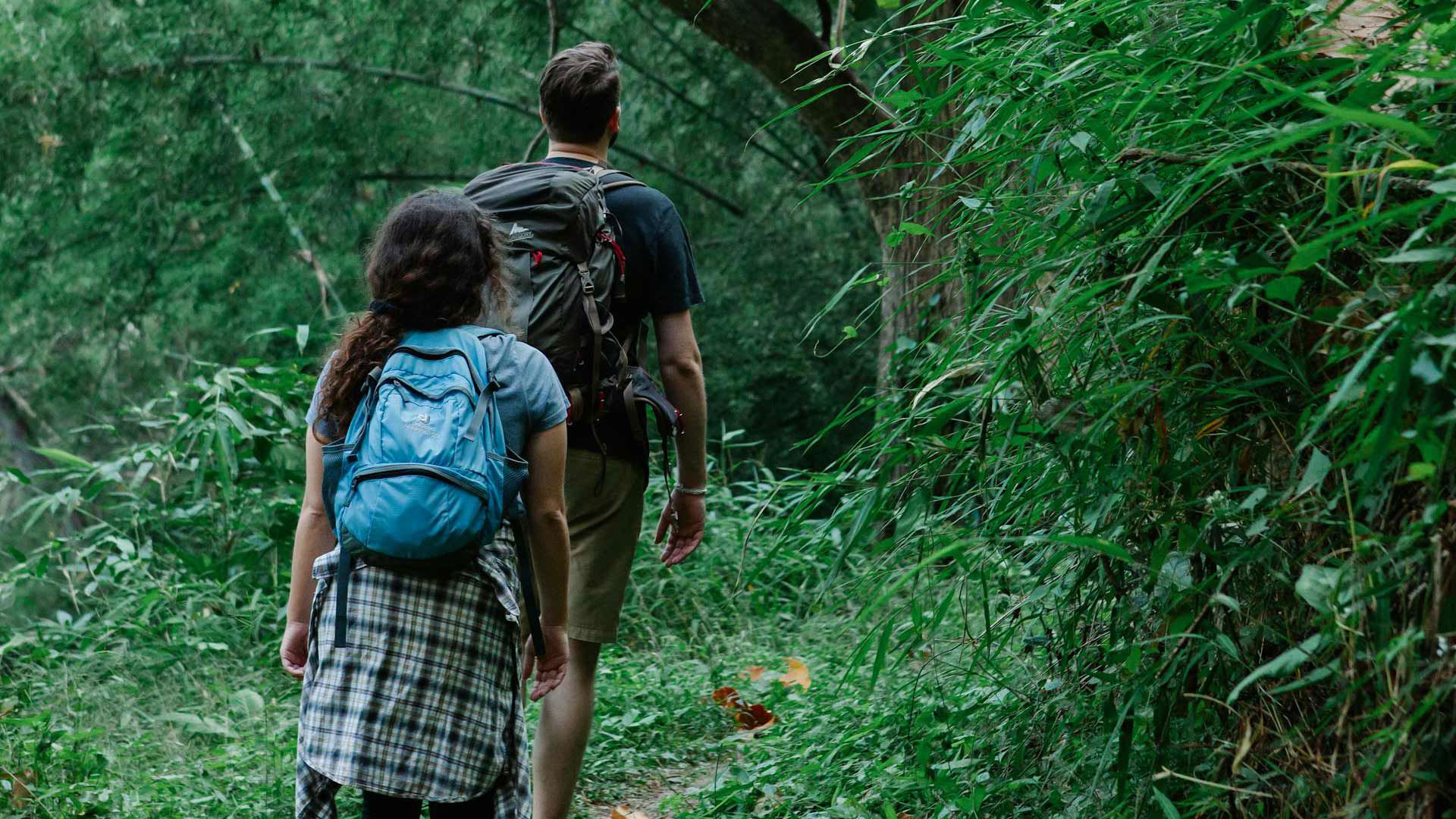 Guided Hikes with Speciale 6