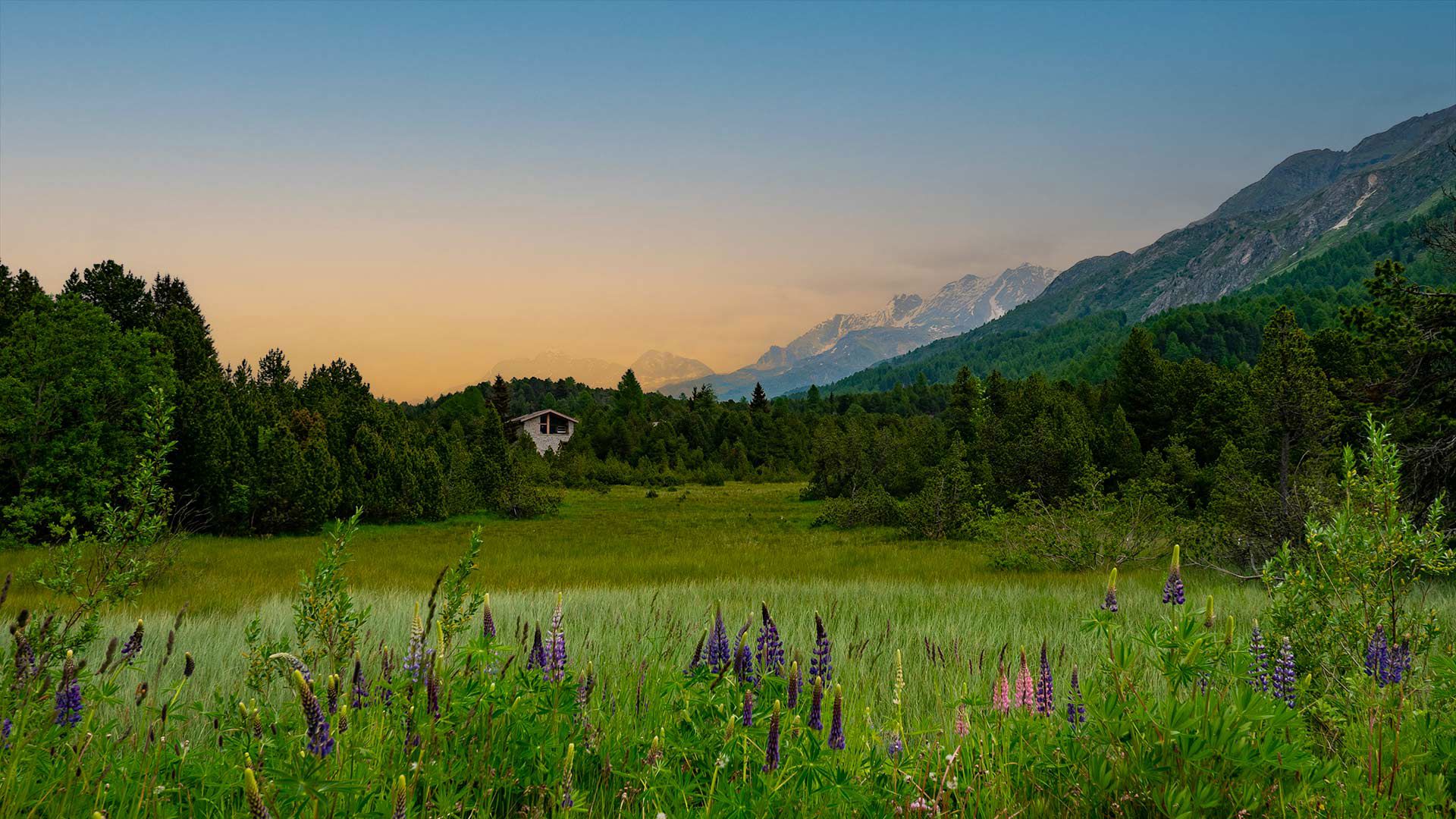 Maloja Kulm 4 Maloja Kulm 4