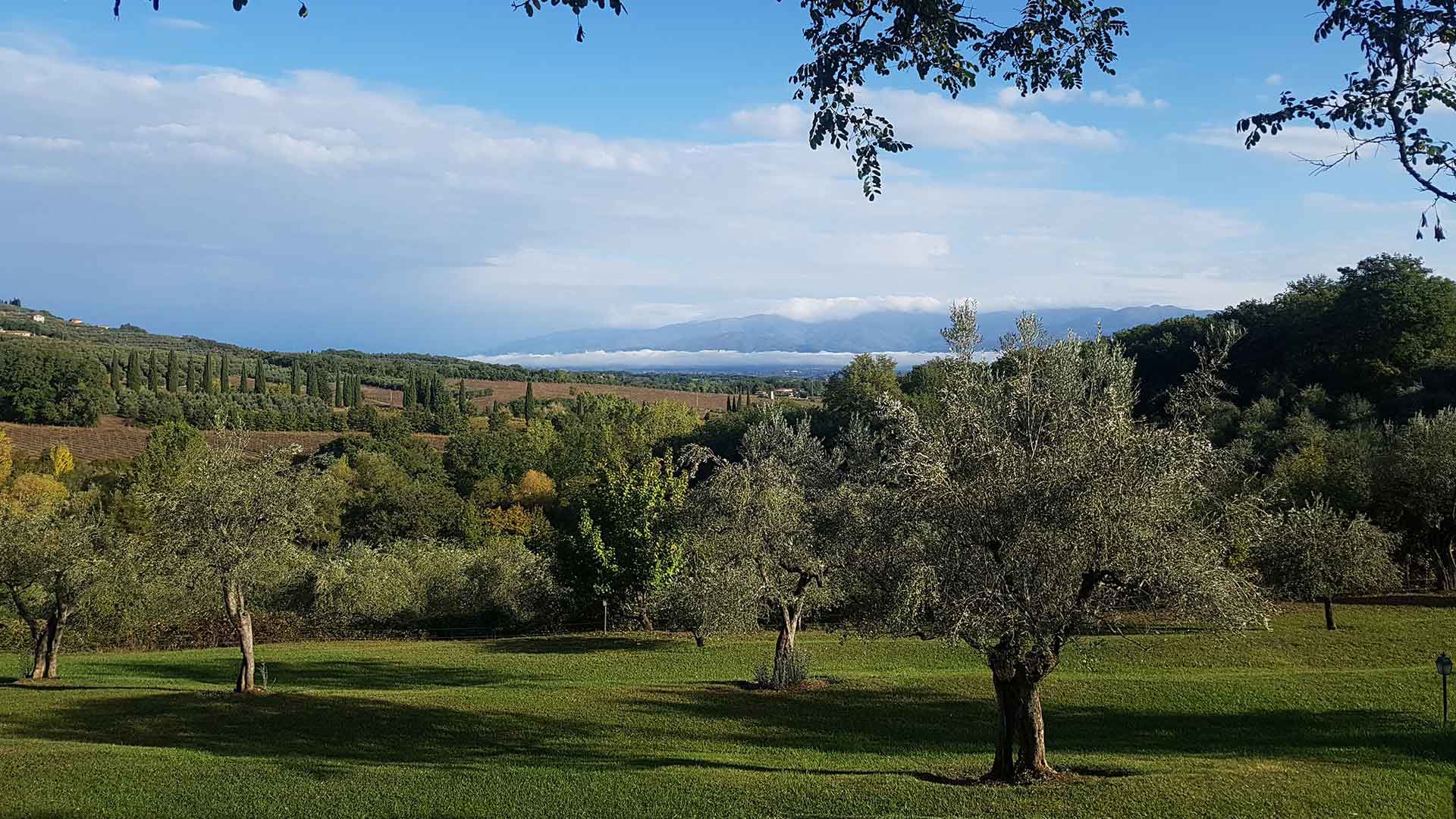 Dove siamo 1